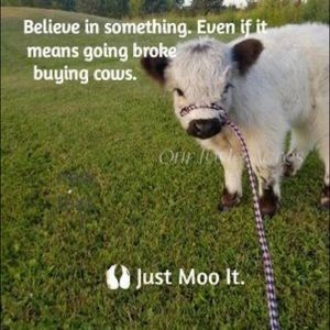 Sale going on now until August 1st! Don’t miss out